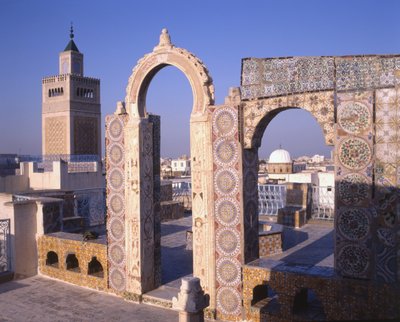 View of Tunis from the Palais d